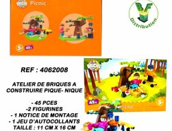 4062008 - Atelier de briques pique - nique à construire
