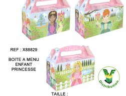 x88829---boite-a-menu-enfant-princesse