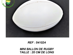 541024 - Mini ballon de rugby
