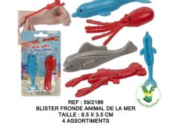 59-2186---blister-fronde-animal-de-la-mer